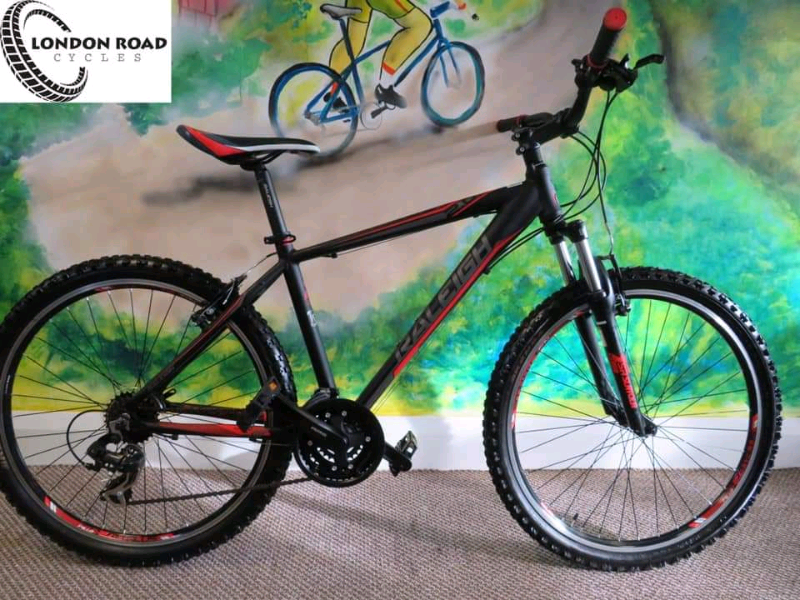 raleigh talus 2.0